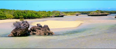 Recenze: Aldabra: Byl jednou jeden ostrov